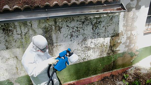 Trusted Bathroom Mold Removal service in Sanford, VA - Cheap Mold Removal